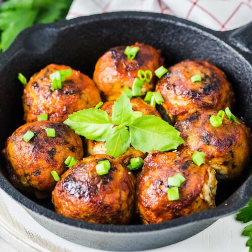 Vegan Meatballs with Methylcellulose